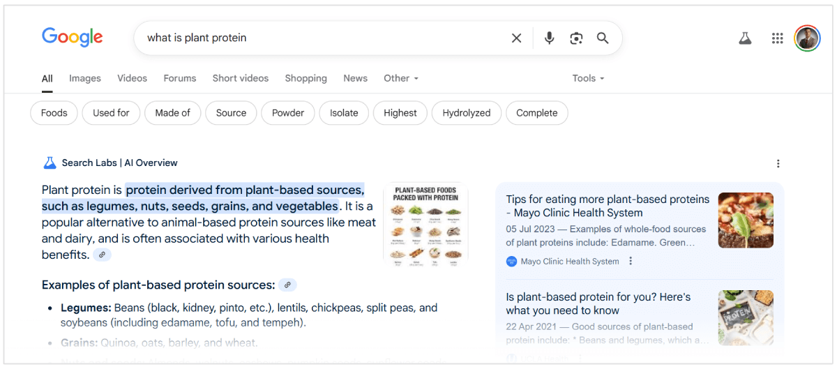 Example of AI overview for a search query